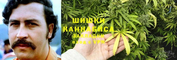 PSILOCYBIN Богородицк